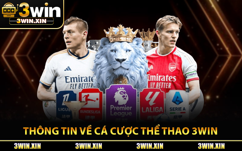 Thông Tin Về Cá Cược Thể Thao 3Win
